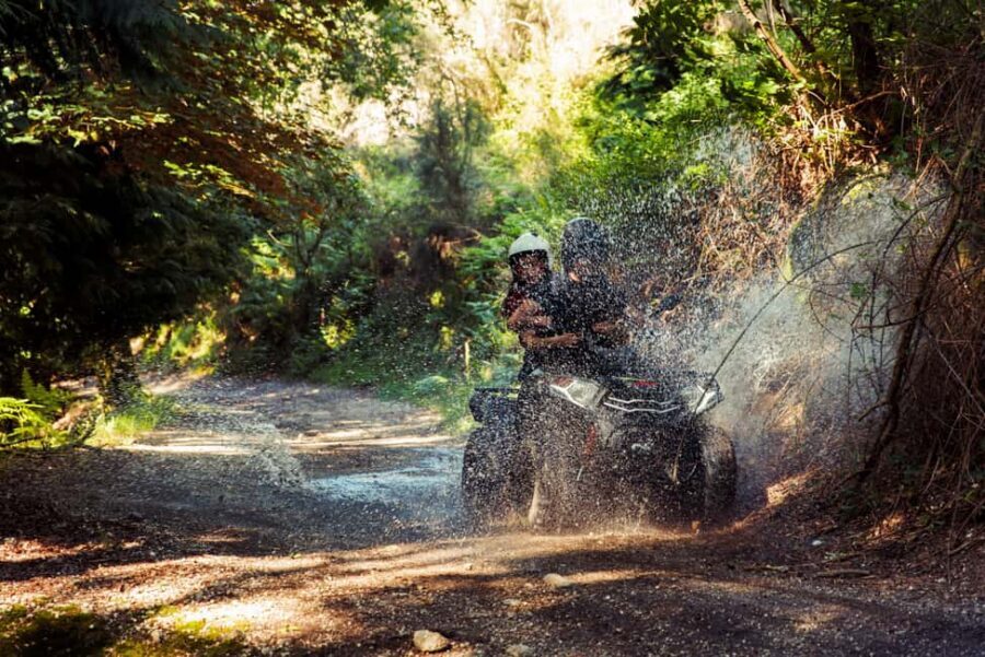1h Quad Tour • Arcos de Valdevez • Peneda Gerês - Peneda Gerês on 4 Wheels: Why This Tour Feels Different