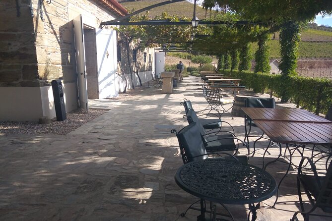 3-Hour Tour to Discover Pinhão - Moment of Discovery - Group size and guide style: what you can expect