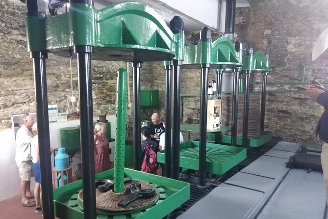 3-Hour Tour to Discover Pinhão - Moment of Discovery - Price and value: what $66.37 really covers
