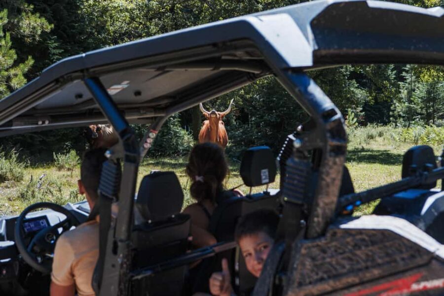 4h Buggy Tour • Arcos de Valdevez • Peneda Gerês - Driving the Peneda-Gerês terrain in a CFMOTO buggy (and why it feels different)