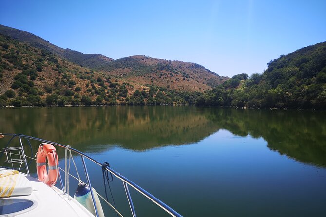 4H Private Boat Trip on the Douro River - Feel the Nature - Stop at Rio Inha: boat-only tranquility, light meal, wine tasting, and swim time