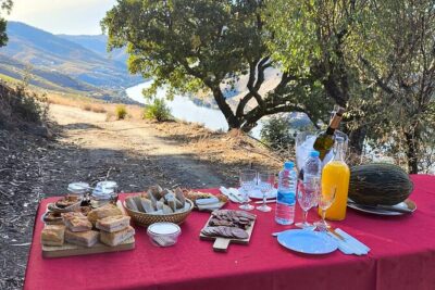 4x4 Adventure in Douro: Wine Tasting, Boat Trip and Lunch - Quinta do Tedo: off-road terraces and guided Port tastings