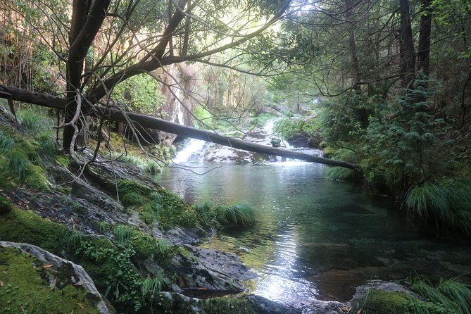 4X4 Tour - Discovering Serra d´ Arga - Why the price and 9-hour timing can feel like good value