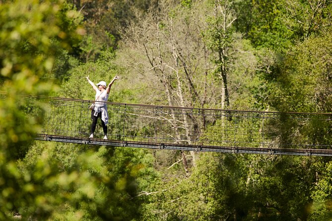 516 Arouca Bridge & Paiva Walkways Tour with Lunch from Porto - Guides in English: small group, big local storytelling