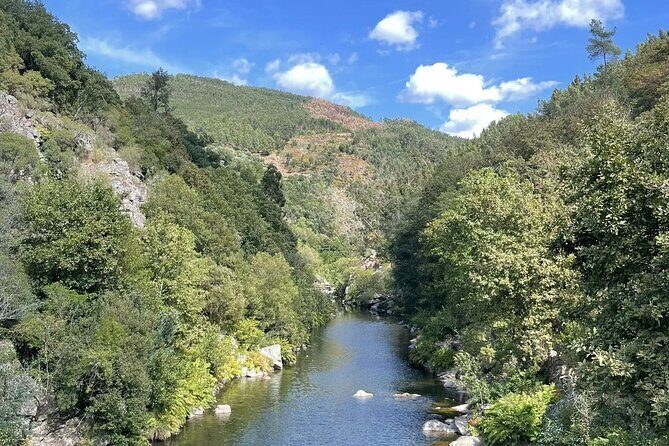 Adventure Paiva Passages: Suspension Bridge and Picnic | Porto - Noon picnic break in nature: lunch is the real payoff