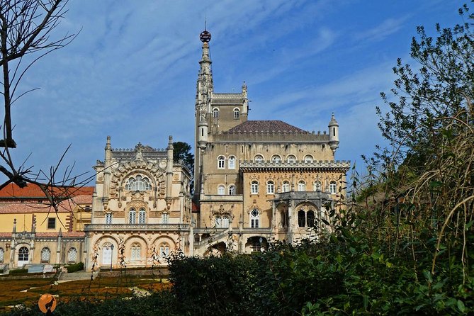 Aliança Underground Museum and Mata do Bussaco - Coimbra - Key highlights I’d circle first