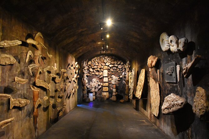 Aliança Underground Museum and Mata do Bussaco - Coimbra - Mata Nacional do Bussaco: a real 4-hour forest block