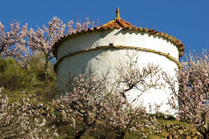 Amendoeiras em Flor - Almond Blossoms Walk: 8 km between Almendra and Ervamoira