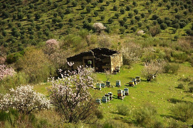 Amendoeiras em Flor - Food, wine, and what the included alcohol really means for the day