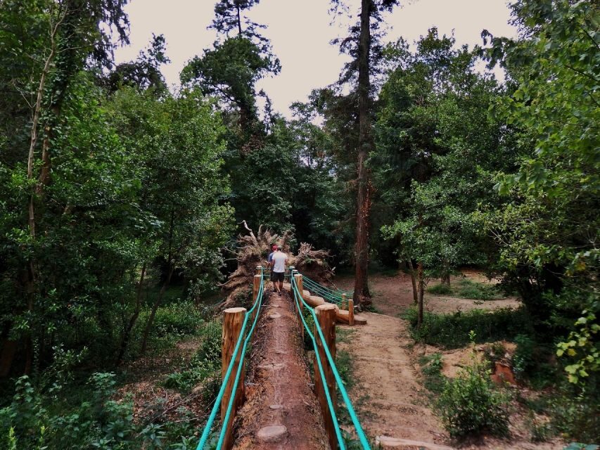 An adventure through the Forest and Palace of Bussaco - Coim - Mata Nacional do Buçaco Trails: Forest Life You Can Actually Understand