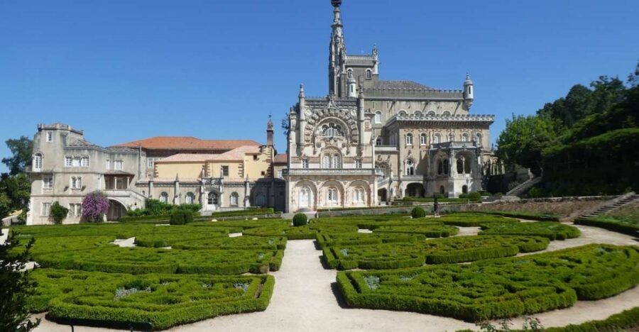 An adventure through the Forest and Palace of Bussaco - Coim - The Interpretive Visit: History Meets Biodiversity (Without Being Overly Technical)