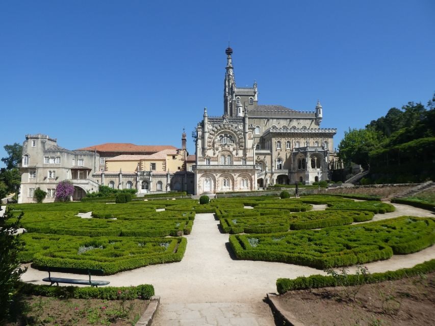 An adventure through the Forest and Palace of Bussaco - Coim - Group Style and Languages: English and Portuguese Live Guidance