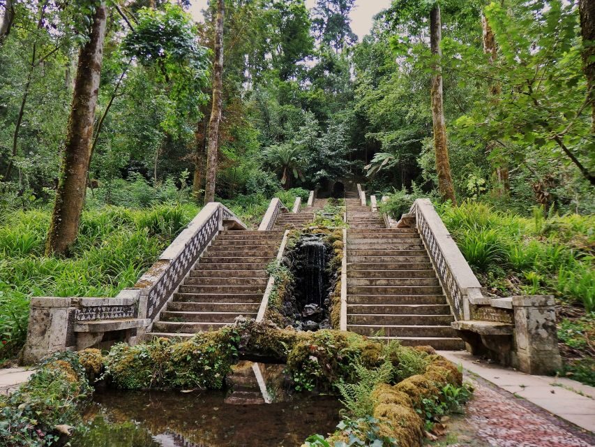 An adventure through the Forest and Palace of Bussaco - Coim - Who This Tour Suits Best (And Who Might Skip It)