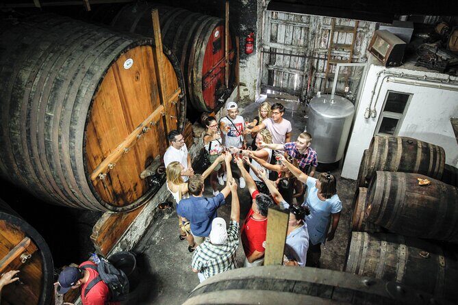 Authentic Small Group Douro Wine Tour with Lunch & River Cruise - The scenic drive on the N222: the part you’ll keep thinking about