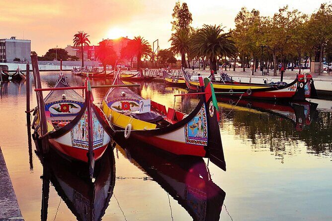 AVEIRO and COSTA NOVA Private Full Day Tour from Porto - Key Highlights You’ll Actually Care About
