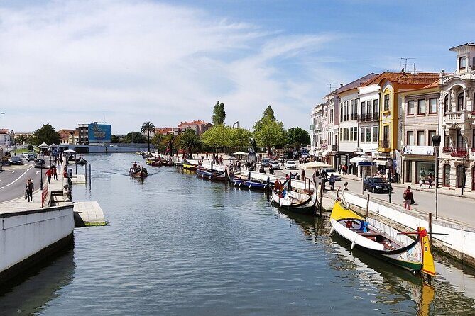 AVEIRO and COSTA NOVA Private Full Day Tour from Porto - The Return to Porto and a Possible Bonus Atlantic Spot