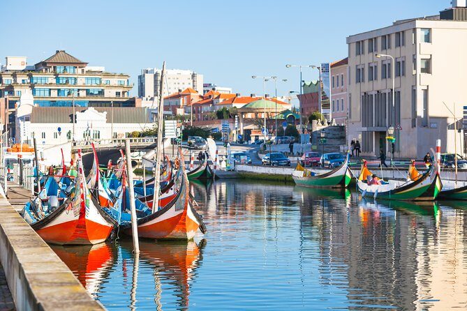 Aveiro Half Day Private Tour Porto w/ Moliceiro River Cruise - Porto to Aveiro: the private transport that keeps the day relaxed