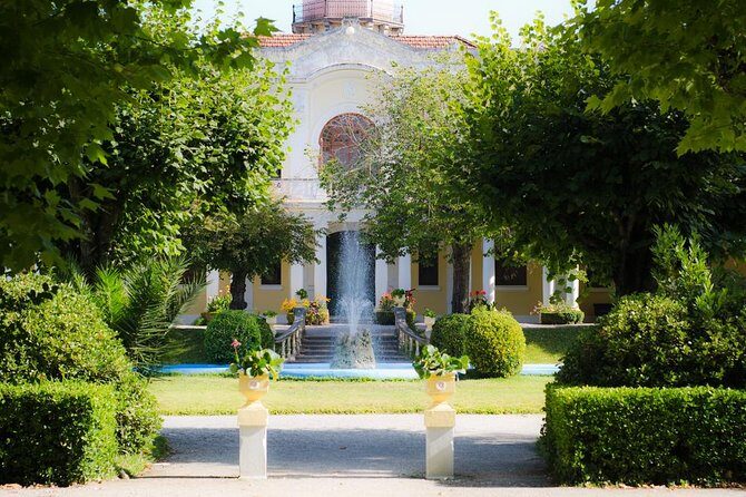 Bairrada Private Tour (Luso & Curia Villages) with Wine Tasting - Second Winery Stop: Sparkling Wine, Spirits, and Dry Fruits