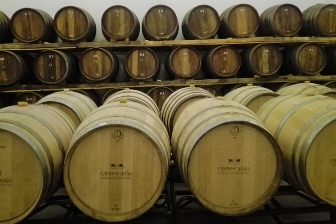 Bairrada Winery Route, full-day from Coimbra - Stop 1 at Caves Messias: your first window into sparkling-wine making