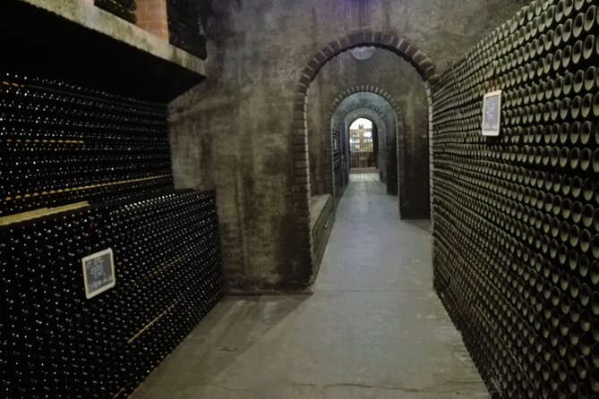 Bairrada Winery Route, full-day from Coimbra - Stop 2 at Associacao Rota da Bairrada: seeing the region in one place