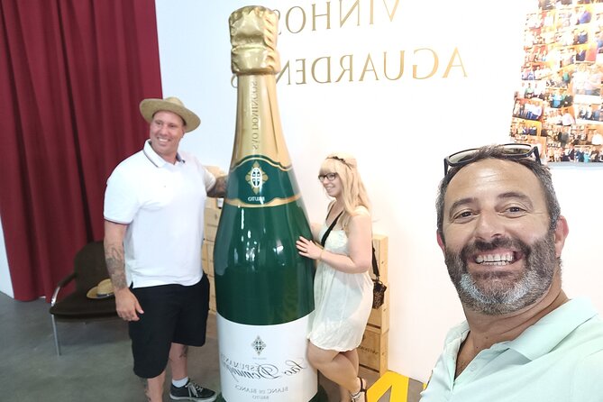 Bairrada Winery Route, full-day from Coimbra - How onboard Wi‑Fi helps (yes, even on a wine day)