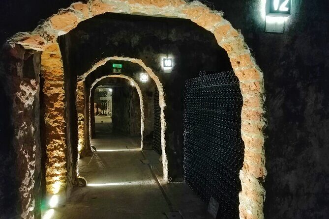 Bairrada Winery Route, half day from Coimbra - Quick hits before you go