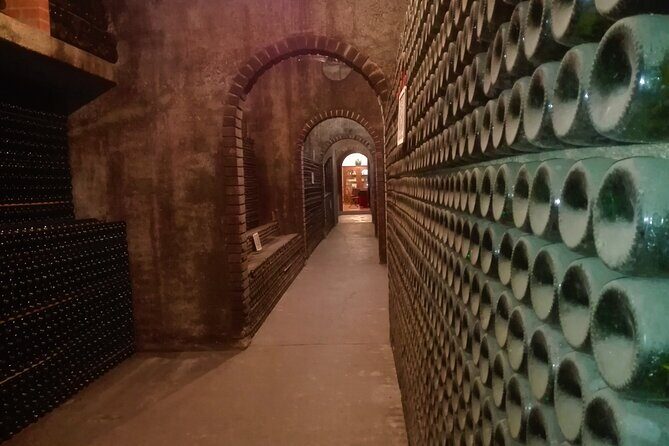 Bairrada Winery Route, half day from Coimbra - Bairrada in four hours: how this Coimbra wine route fits your day