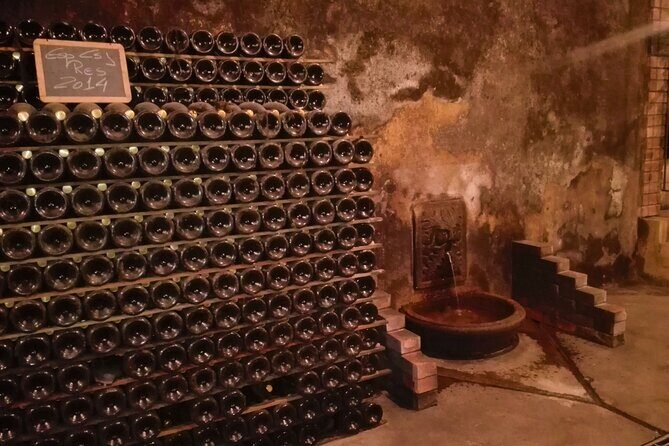 Bairrada Winery Route, half day from Coimbra - Morning vs afternoon: which departure is smarter