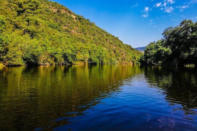 Best of Douro Valley Wine Full Day Private Tour - Key things to know before you go