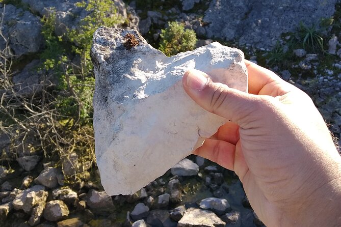 Between Rocks and Silences : Scientific and Emotional Exploration PNSAC - 9:00am Start and Private SUV Comfort (With Real-World Pickup Tips)