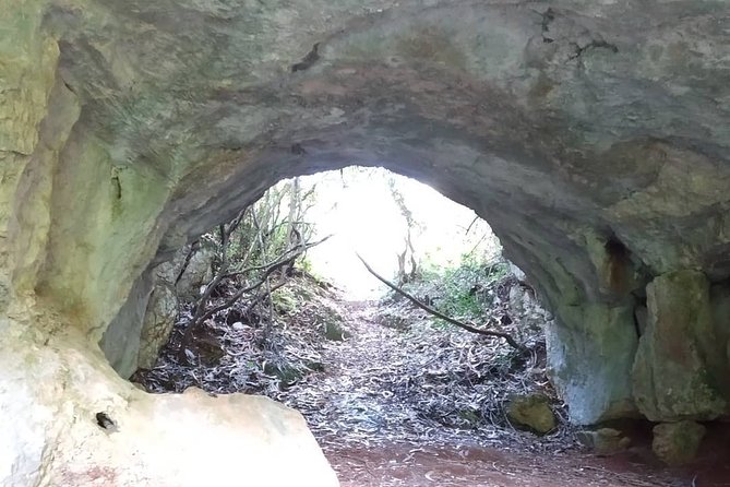 Between Rocks and Silences : Scientific and Emotional Exploration PNSAC - Why Hernâni Magalhães Changes the Whole Day