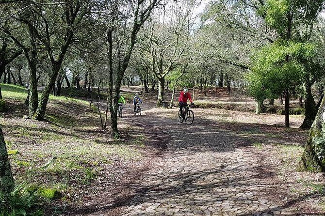 Bicycle rental in Porto for the Santiago de Compostela Road - Autonomy means you pedal, plan, and adapt