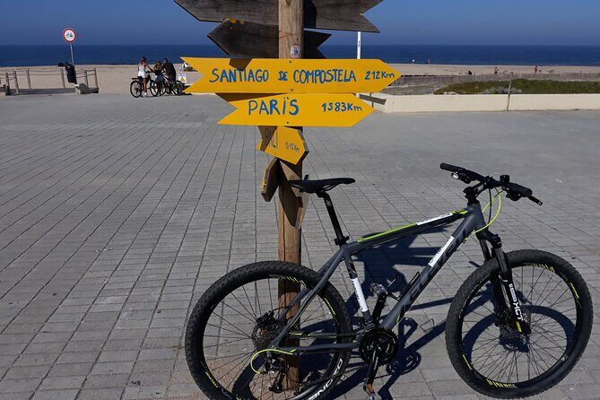 Bicycle rental in Porto for the Santiago de Compostela Road - The bike specs that actually matter on real roads