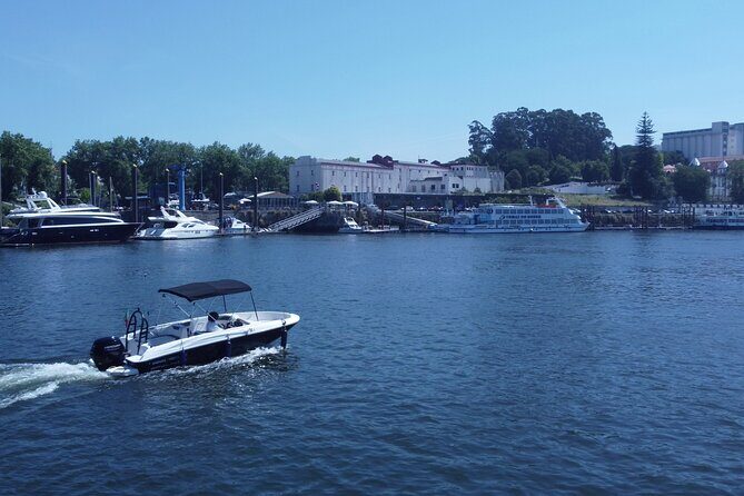 Boat Trip in Douro Porto - Stop 3: The Douro River Stretch for Calm Views and Nature Breaks