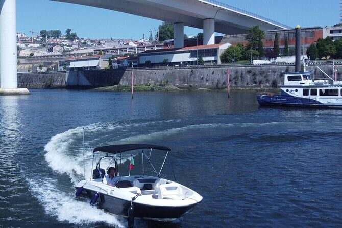 Boat Trip in Douro Porto - What the Experience Feels Like: Personal Attention, Smooth Timing