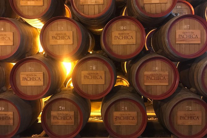 Braga and Guimarães Full Day Tour - Getting started in Porto: early pickup and a small-group pace