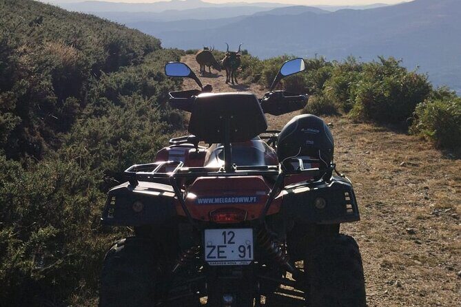 Buggy or Moto4 tour through Melgaço - União das freguesias de Chaviães e Paços: river paths with a calmer pace