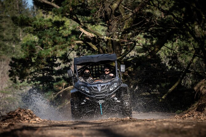 Buggy Tour in Serra da Lousã 2Hours - Key highlights at a glance