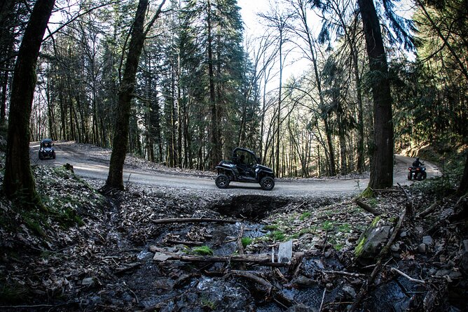Buggy Tour in Serra da Lousã 2Hours - Who should book this buggy tour (and who should not)