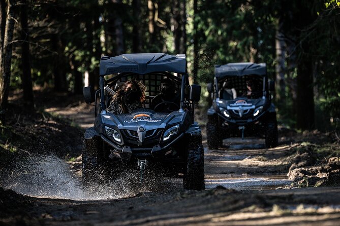 Buggy Tour in Serra da Lousã 2Hours - Terreiro das Bruxas and the Lousã viewpoint: where the tour slows down