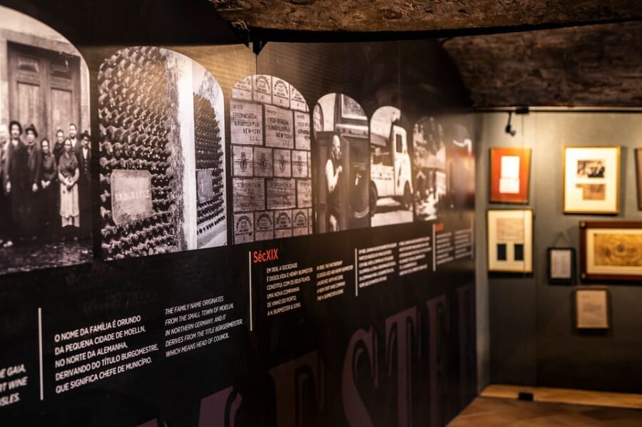 Burmester Cellar Tour - Inside the cellars: what you’ll learn about Port and Douro DOC