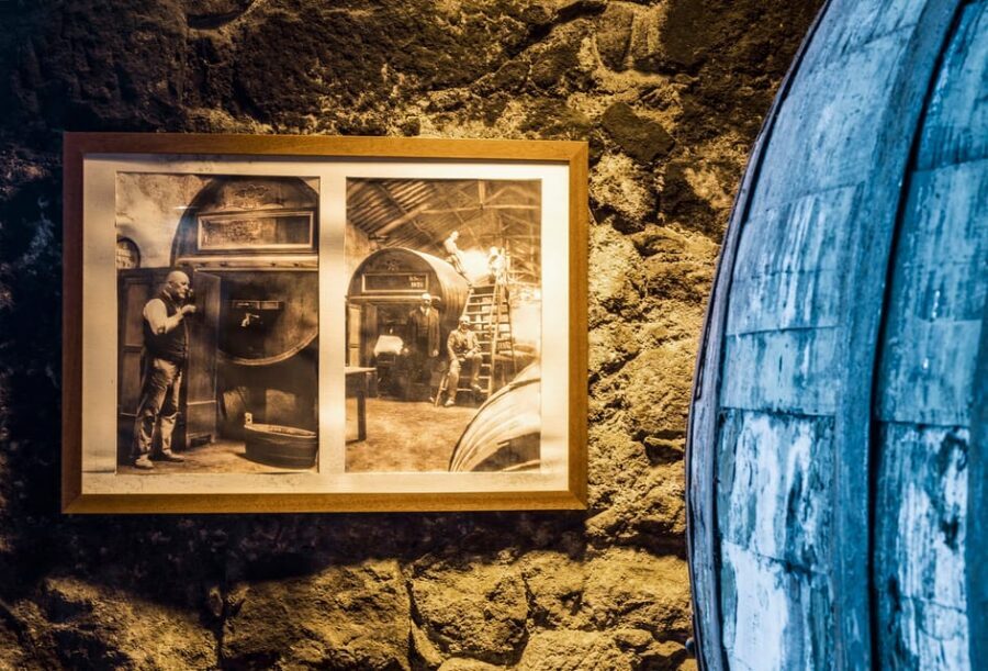 Burmester Cellar Tour - Your two Port tastings: how to compare without overthinking