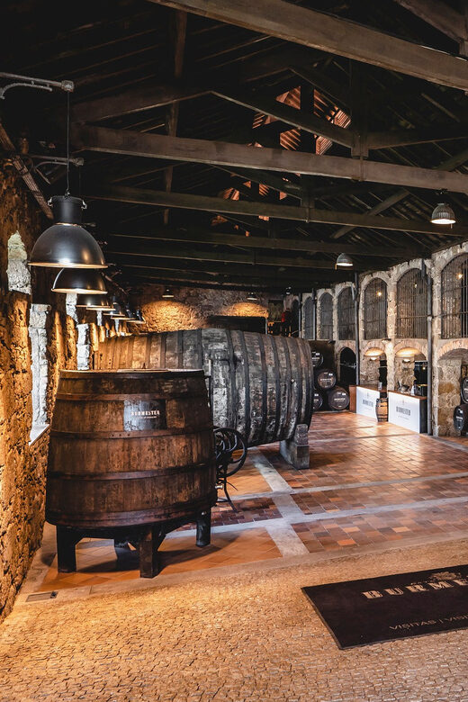 Burmester Cellar Tour - Who should book this tour (and who might want to skip it)