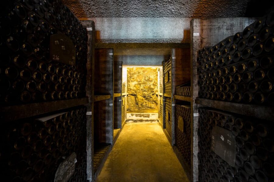 Burmester Cellar Tour - Value check: is $20 per person actually a good deal?