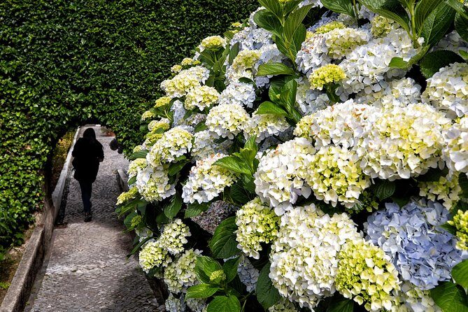 Bussaco Palace, Gardens & Forest | Private Tour - Key highlights before you go