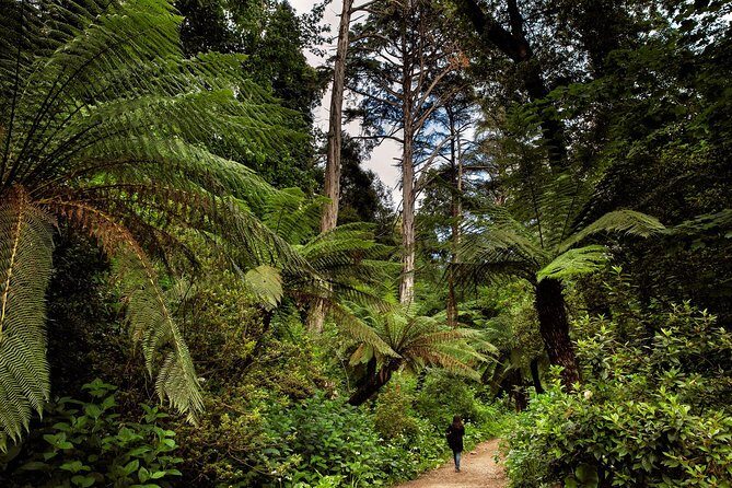 Bussaco Palace, Gardens & Forest | Private Tour - Should you book the Bussaco Palace, Gardens & Forest private tour?