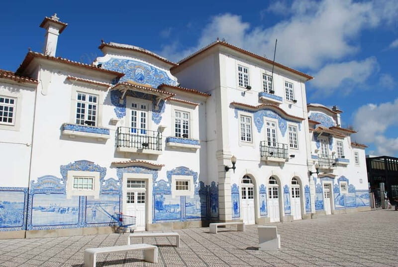 Coimbra & Aveiro Private Tour – Customizable Experience - Aveiro on foot: canals, Art Nouveau, salt pans, and tiled faces