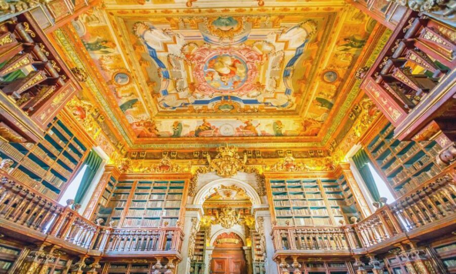 Coimbra Historic Center - Private visit - Coimbra Historic Center Private Visit: What You’re Really Paying For