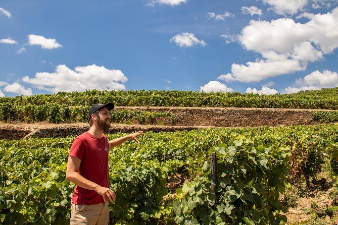 Complete Douro Valley Wine Tour with Lunch, Wine Tastings and River Cruise - Key Things That Make This Douro Day Work