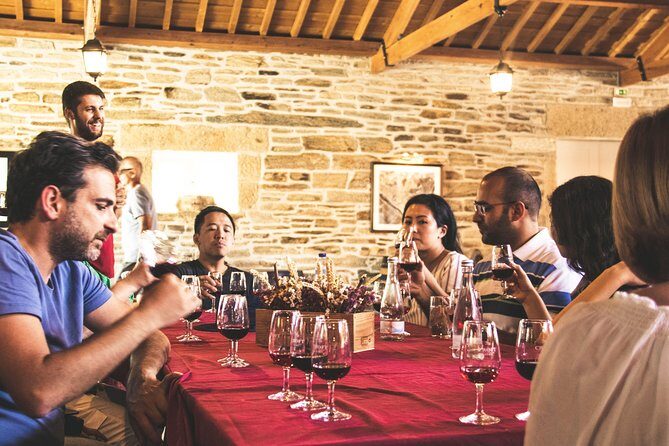Complete Douro Valley Wine Tour with Lunch, Wine Tastings and River Cruise - Why This 10-Hour Douro Day Feels Like Value, Not Just Transportation